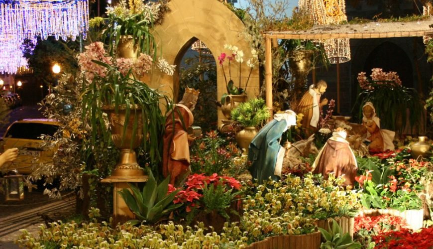 3 Unforgettable Christmas Traditions from Madeira