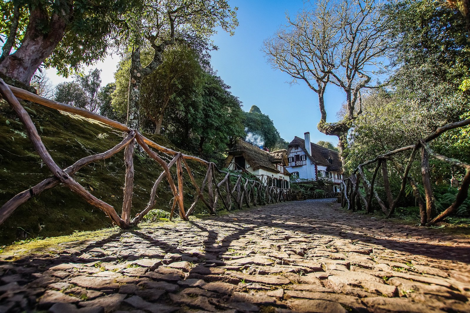 Travel Tips to Visit the Outstanding island of Madeira