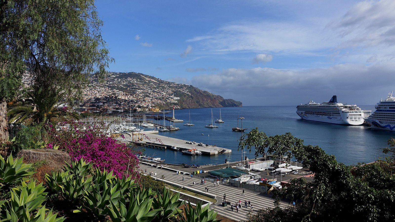 TOP 10 Great Accommodations in the Wonderful Funchal under €30