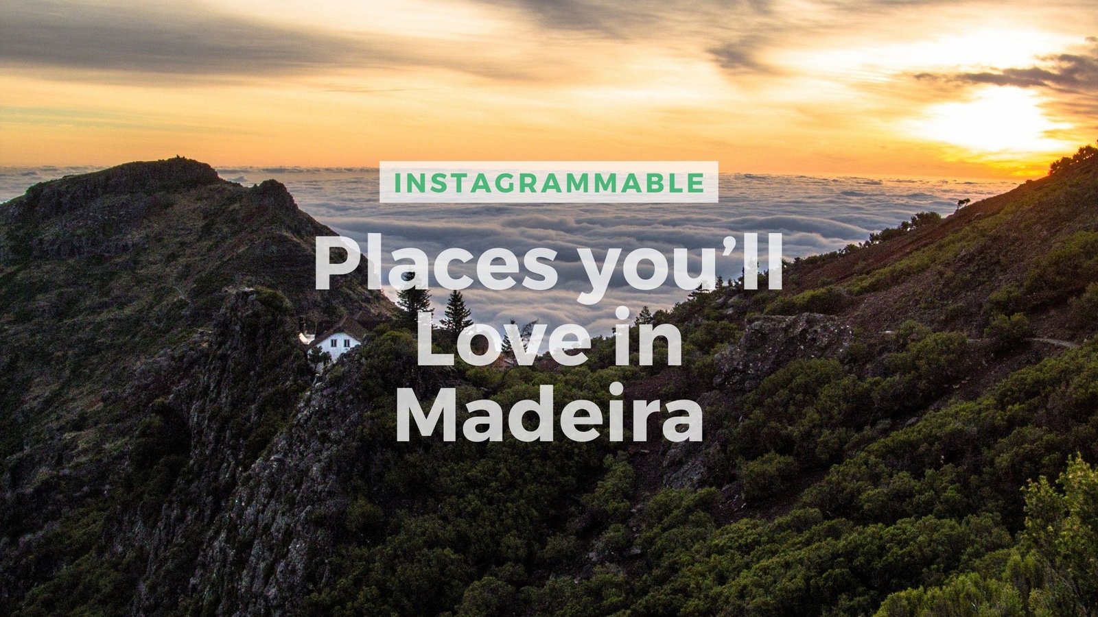 TOP 10 Instagrammable and Amazing Places you’ll Love in Madeira
