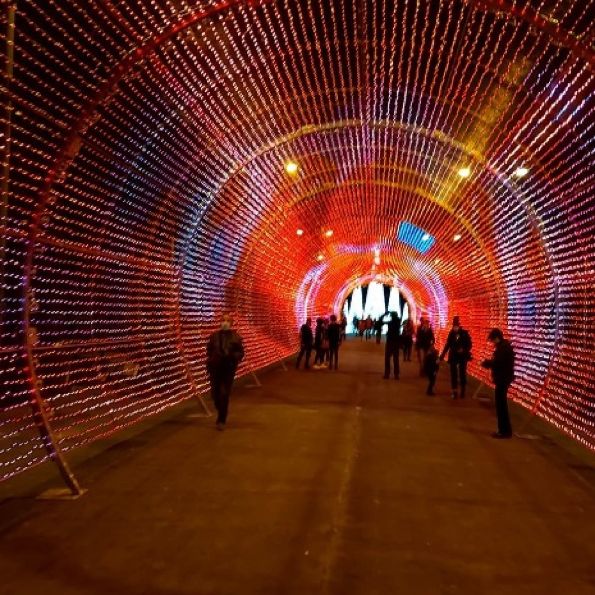 Funchal Tested Christmas Lights with New Technology This is Madeira