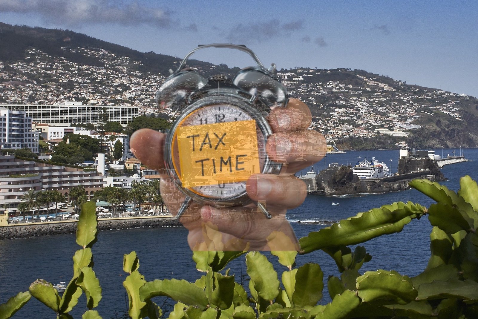 How to apply for a (NIF) Tax Identification Number in Madeira