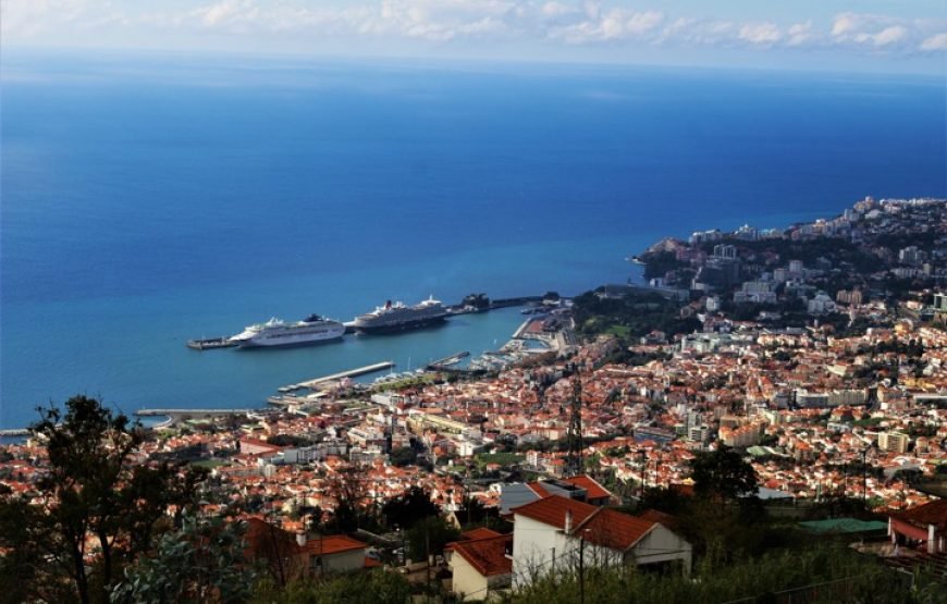 Visit Funchal in a Half Day Private Tour for Couples or Solo Travellers