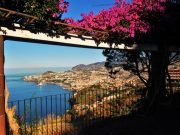 Visit Funchal in a Half Day Private Tour for Couples or Solo Travellers