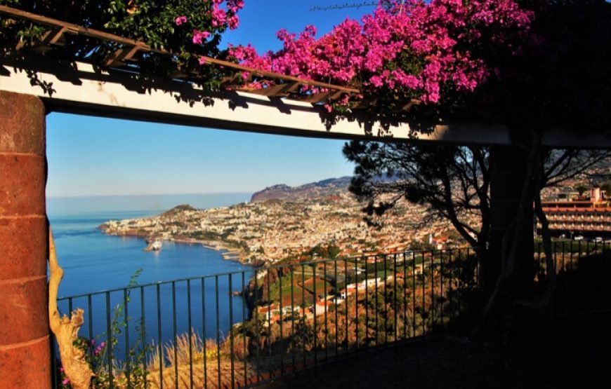 Highlights of Funchal – Private Full Day Tour