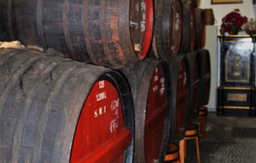 Madeira Island Wine – Full Day Private Tour