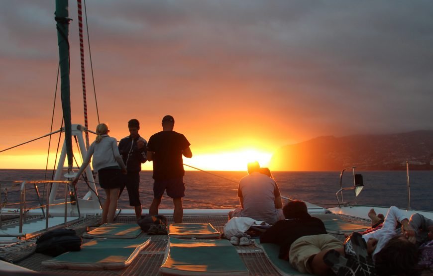 Unforgettable Sunset on a Catamaran