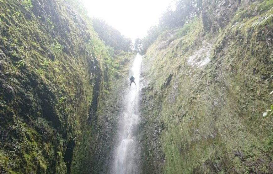 Canyoning in Madeira – Advanced