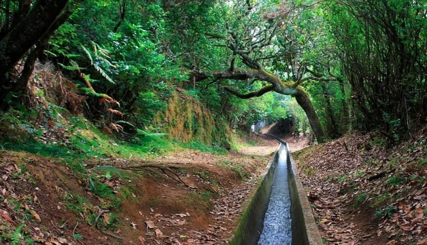 Tourist is in danger of life after falling down from a Levada