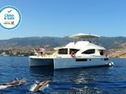 Private Charter Dolphin and Whale Watching