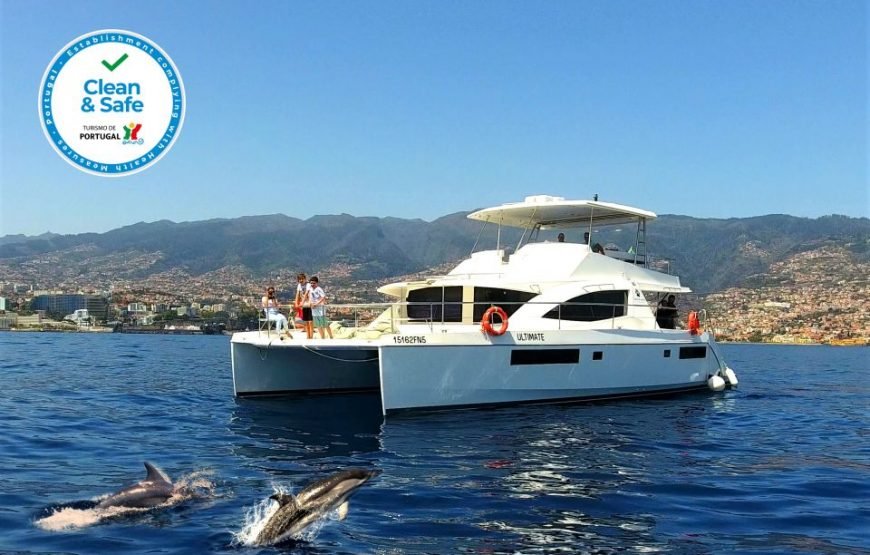 All Inclusive Dolphin & Whale Watching with Luxury Catamaran