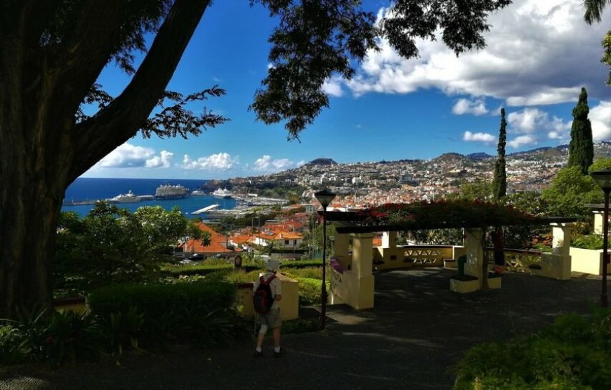 Funchal City Tour with Tukxi