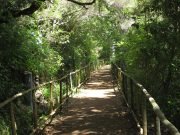 Queimadas / Caldeirão Verde (PR09 – Levada do Caldeirão Verde)