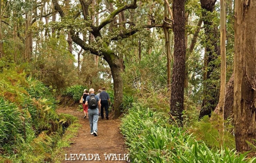 East Tour and Levada Walk