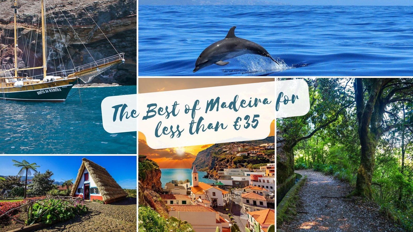 See the Best of our Amazing Madeira for Less than €35