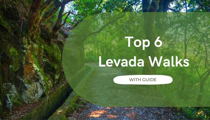 The Top 6 Levada Walks with a Guide