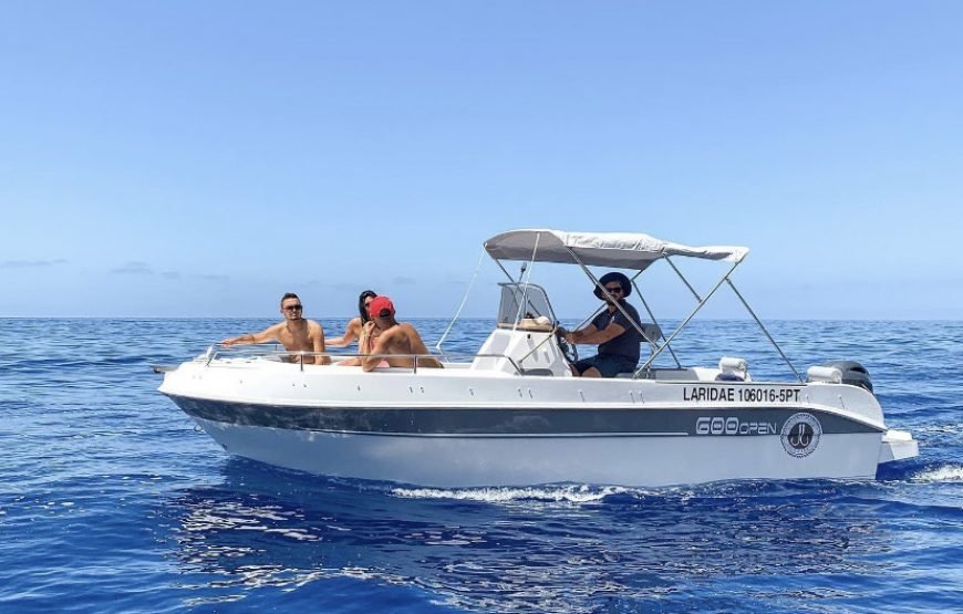 Sport Fishing – Shared Boat