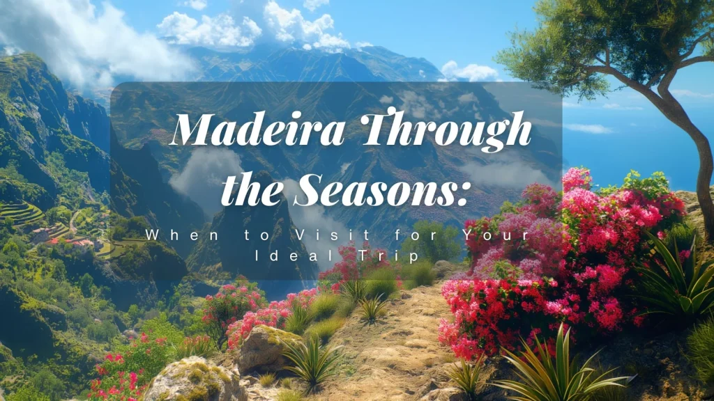 Madeira Through the Seasons: When to Visit for Your Ideal Trip