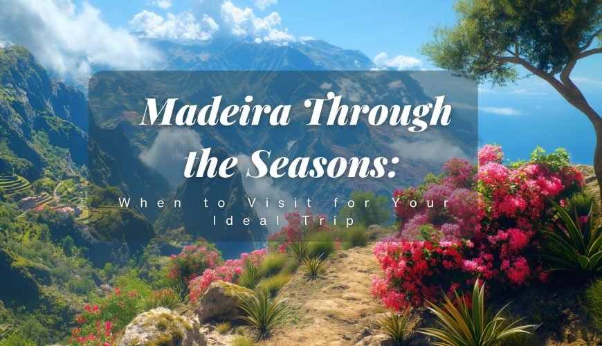Madeira Through the Seasons: When to Visit for Your Ideal Trip