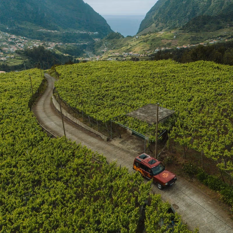 Private Afternoons are for Wine and Sunsets – REM